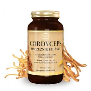 CORDYCEPS 600MG 100 KAPS