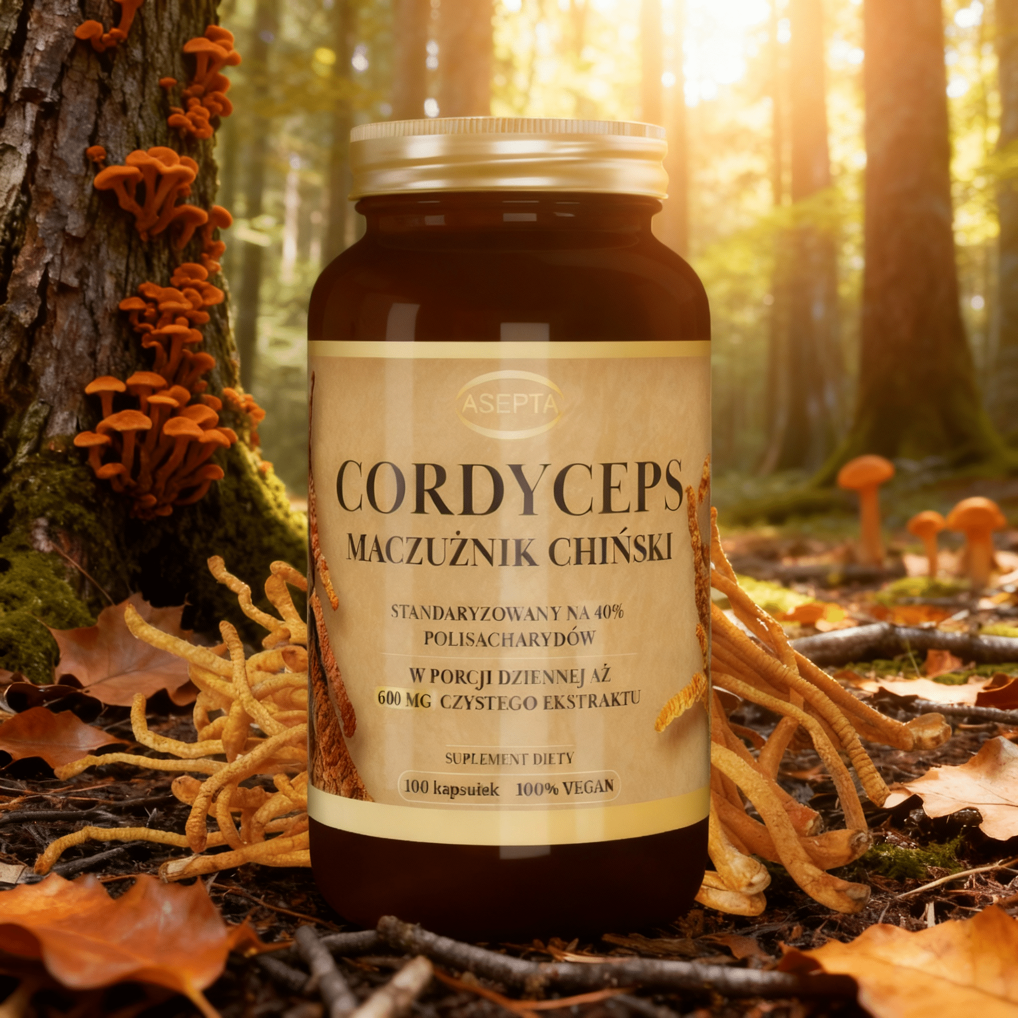 cordyceps