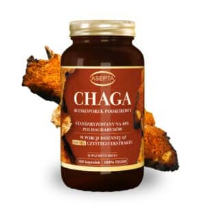 CHAGA 540 MG (100 KAPS)